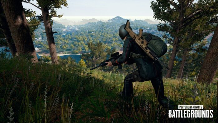 Игра Playerunknown’s Battlegrounds (PS4, Русская версия) — изображение 18