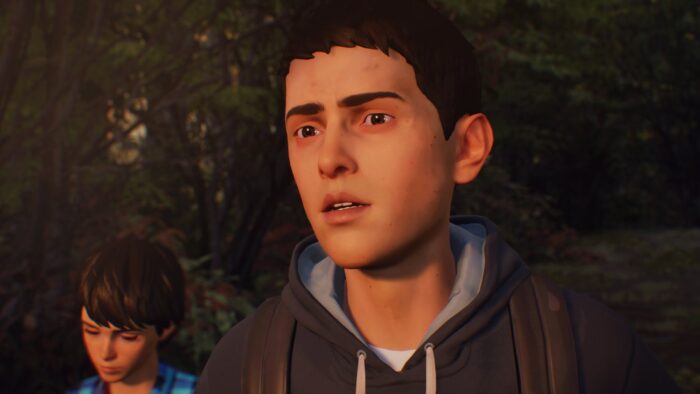 Игра Life is Strange 2 (PS4, Русские субтитры) — изображение 8