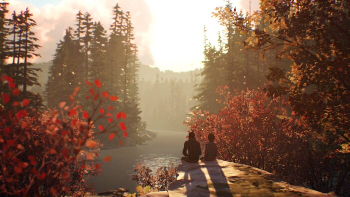 Игра Life is Strange 2 (PS4, Русские субтитры) — изображение 3